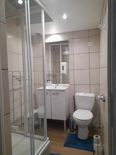 a bathroom with a toilet and a sink at Marie-Claire la grillade in Briare