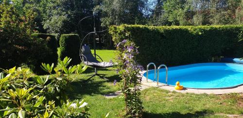 a swimming pool in a yard with a chair next to a hedge at Ferienhaus RENA mit Pool in Bischdorf