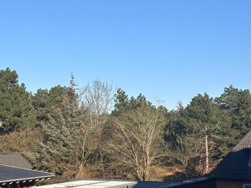 a view from the roof of a house with trees at Ferienwohnung "Seewind" direkt an der Nordsee in Sankt Peter-Ording