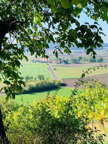 a green field with a road in the distance at Kleines Glück in Markt Nordheim
