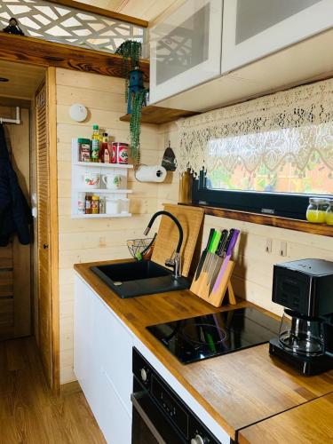 a kitchen with a sink and a counter top at Kleines Glück in Markt Nordheim