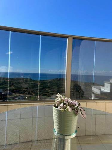 a plant in a vase in front of a window at The Kingfisher -- Sea, Nature, You A relaxing vacation for up to 6 people in Giv‘at Olga