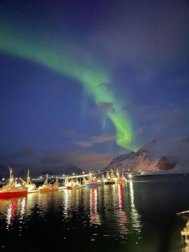 an image of the aurora in the sky over the water at Northern Dream Lofoten in Hovdan