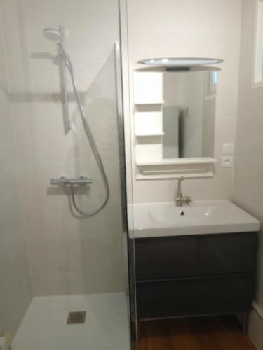 une salle de bain avec un lavabo, une douche et un miroir dans l'établissement OPALINE T3 lumineux avec patio et parking privé, à Dunkerque