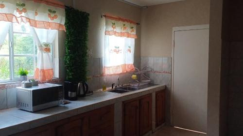Kuchyň nebo kuchyňský kout v ubytování A&J vacation home