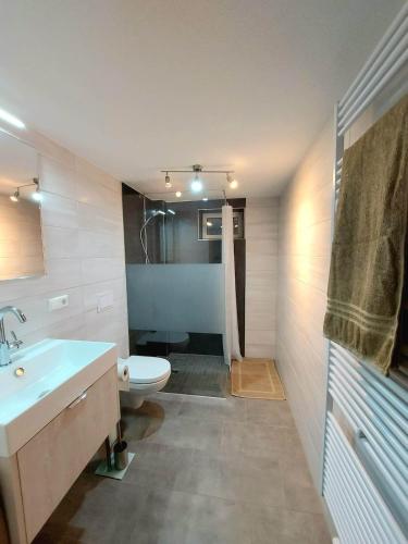 a bathroom with a sink and a toilet in it at Gemütliche Ferienwohnung auf Hof Santangelo in Dickesbach