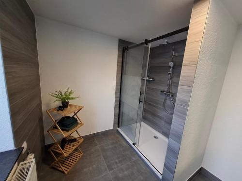 une douche avec une porte vitrée dans une salle de bain dans l'établissement Ferienhaus Willi, à Elend