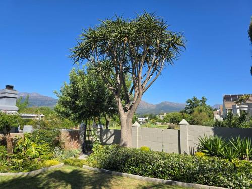 a tree in a garden with a white fence at Cozy en-suite room in Wellington with own entrance in Wellington