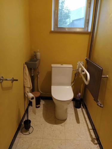 a bathroom with a toilet and a sink at Le bonheur pour tous - Gîte rural PMR en Ardennes in Tellin