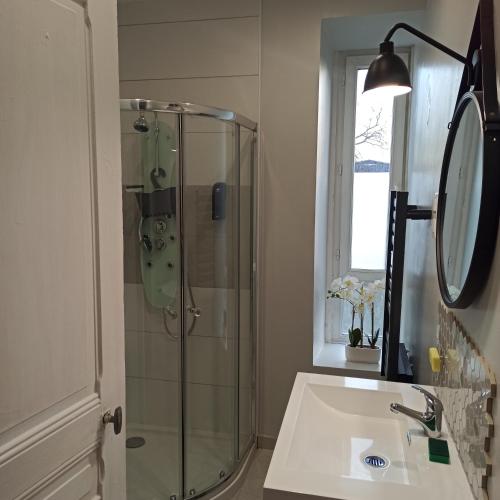 une salle de bain avec douche et lavabo dans l'établissement Gîte Le Français VERDUN 4 pers,climatisé,grand garage,jardin 3 étoiles, à Belleville-sur-Meuse