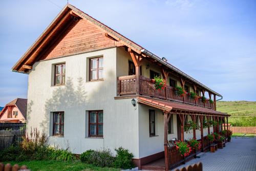 Billede fra billedgalleriet på Vendégváró Panzió i Lupeni