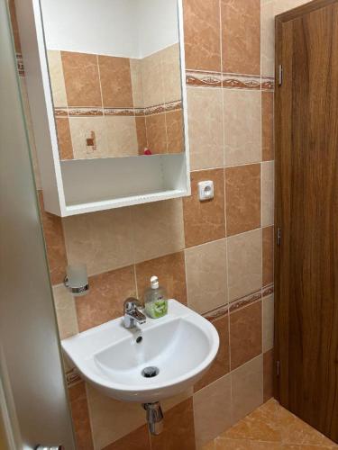 a bathroom with a sink and a mirror at Apartmán u Hovorků in Borová Lada