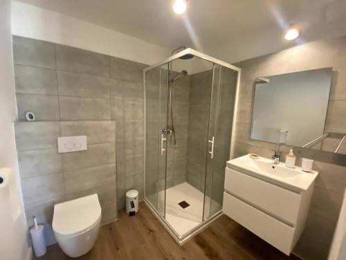 une salle de bain avec une douche, des toilettes et un lavabo dans l'établissement Studio Corse entre mer et maquis cala rossa, à Lecci