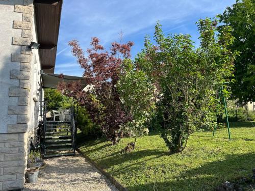 a cat sitting in the grass next to trees at Maison avec grand jardin - House with large garden in Fagnières