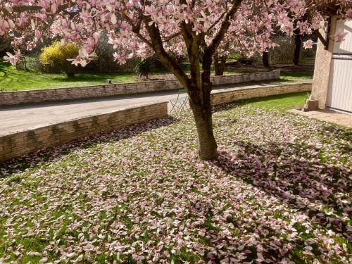 Zahrada ubytování Logement type 2 dans un parc verdoyant