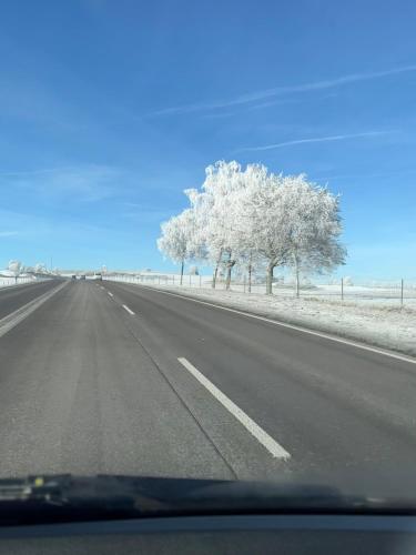 a highway with trees on the side of the road at Haus Steiner #Mitten im Schwarzwald# in Lauterbach