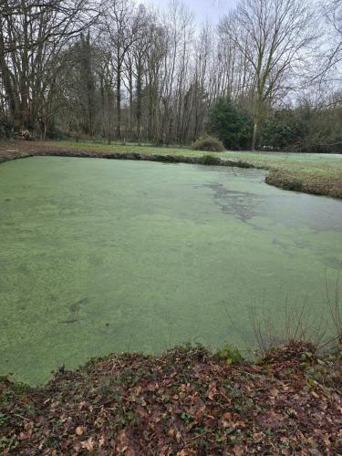 a large frozen pond in a park with trees at Évasion en Normandie in La Patrie