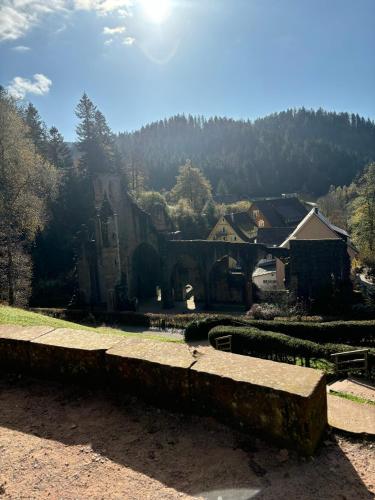 a view of a village with a building and trees at Haus Steiner #Mitten im Schwarzwald# in Lauterbach