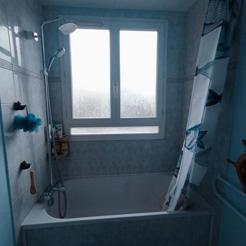 une salle de bain avec une baignoire et une fenêtre dans l'établissement Lovely T2 only 30 minutes away from Paris, à Yerres