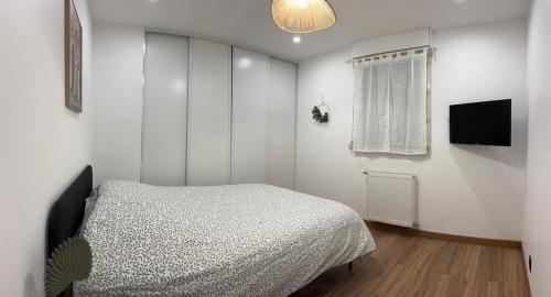 a bedroom with a bed and a television in it at joli appartement T4 in Fontaines-sur-Saône