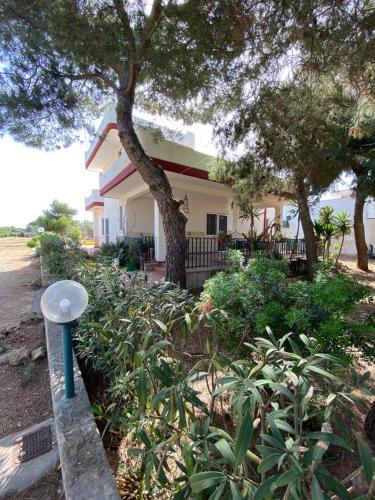 a house with a tree and plants in front of it at Villa Del Prete in Sant'Isidoro