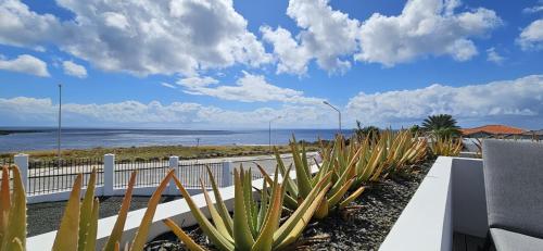 a view of the ocean from a balcony with plants at Villa met zeezicht & infinitypool Jan Thiel Curacao in Jan Thiel