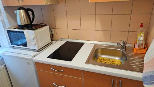 Guest house Rasaにあるキッチンまたは簡易キッチン