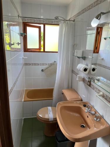 Cabañas Los Tilos Pucón في بوكون: حمام مع حوض ومرحاض وحوض استحمام