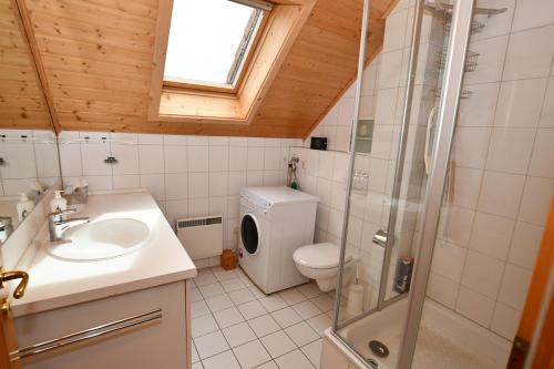 a bathroom with a toilet and a sink and a shower at Schmuckstück in Hasselfelde