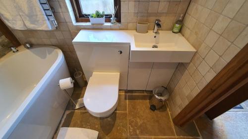 a bathroom with a toilet and a sink and a tub at Swn Y Nant Lodge with hot tub Brecon in Brecon