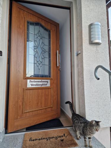 a cat standing in front of a wooden door at Ferienwohnung Strohbergblick in Schichtshöhn