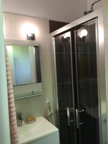 une salle de bain avec une douche, un lavabo et un miroir dans l'établissement Maison bord de mer climatisée La Capte , Hyères, à Hyères