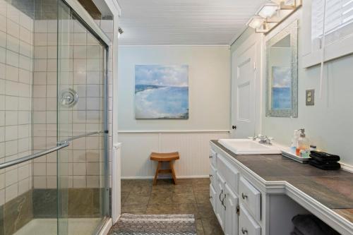a bathroom with a shower and a sink at NEW Cayuga, Hot Tub, Dog Friendly, Wine Trail in Cayuga