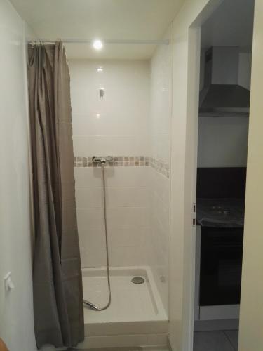 une douche avec une porte vitrée dans une salle de bain dans l'établissement Le LOIR ETAIN, à Ouzouer-sur-Loire