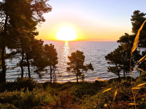 a sunset over the ocean with trees in the foreground at Villa Mandarina in Kriopigi