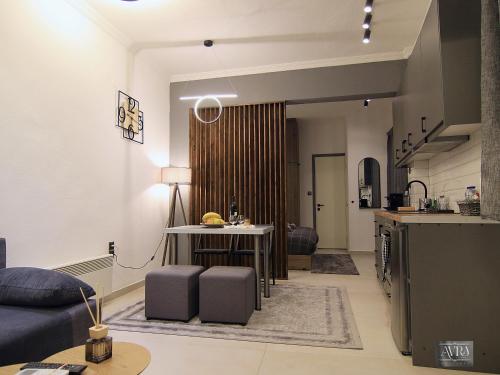 Kuchyň nebo kuchyňský kout v ubytování Avra Studio Kastoria
