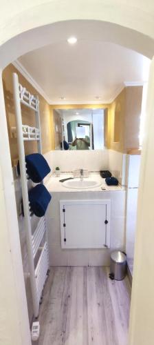 une petite salle de bain avec un lavabo et un miroir dans l'établissement Studio 24m2 cosy classé, lit Queen Size, Netflix, wifi, 400m centre, parking, boîte à clés, Gîtes La Tarine, à Albertville