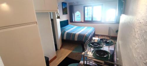 a small room with a bed and a window at Studio 24m2 cosy classé, lit Queen Size, Netflix, wifi, 400m centre, parking, boîte à clés, Gîtes La Tarine in Albertville