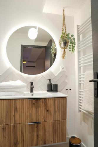 une salle de bain avec un lavabo et un miroir dans l'établissement Dijon Hypercentre - Loge de la chouette, à Dijon