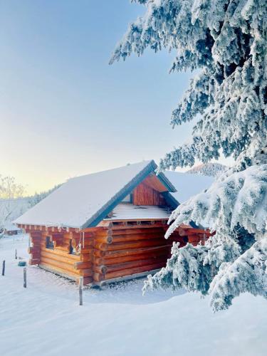Wood log chalet v zimě