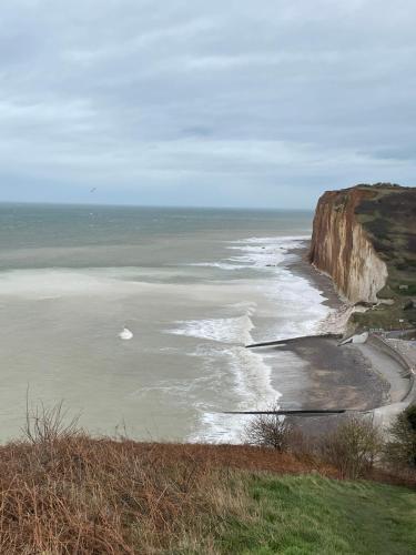 a view of a beach with the ocean and a cliff at Longère cœur de village proche des plages in Sassetot-le-Mauconduit
