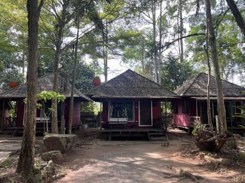 two small houses in the woods with trees at Pang Mai Resort in Songkhla
