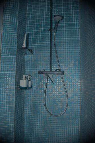 La salle de bains est pourvue d'une douche carrelée de bleu avec un pommeau de douche. dans l'établissement Lovely flat in Latin quarter, à Paris
