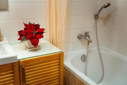 Ένα μπάνιο στο Apartmán Velké Karlovice