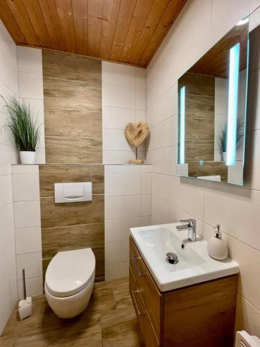 a bathroom with a toilet and a sink at Glücksstück in Hasselfelde