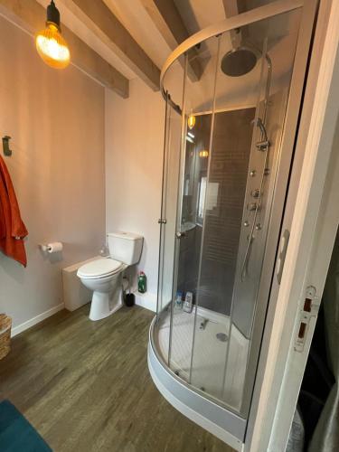 a bathroom with a toilet and a glass shower at Longère cœur de village proche des plages in Sassetot-le-Mauconduit