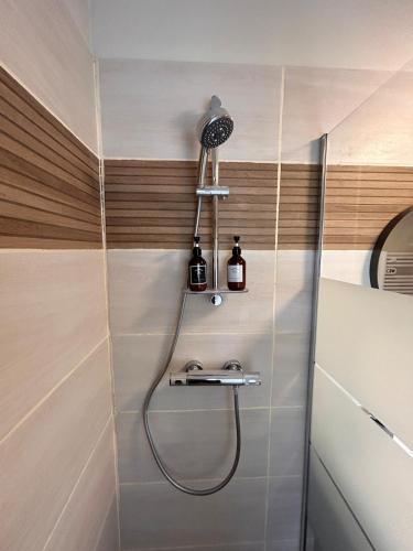 une douche dans une salle de bain avec un lavabo dans l'établissement Appartement F1 duplex Hyper centre, à Saint-Dizier