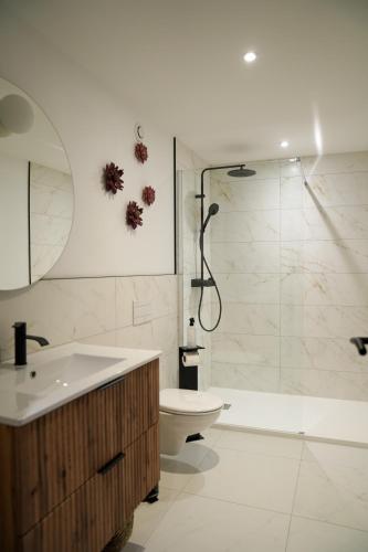 a bathroom with a shower and a toilet and a sink at Dijon Hypercentre - Loge Pompon in Dijon
