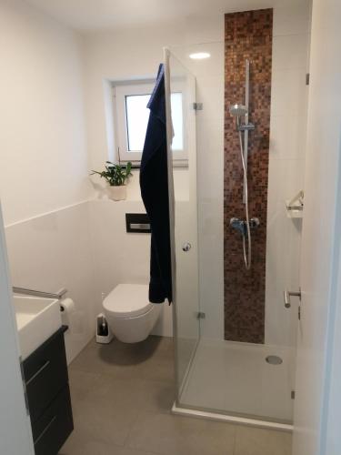 a bathroom with a toilet and a glass shower at Allgäu-Ferienwohnung am Bachgrund in Argenbühl