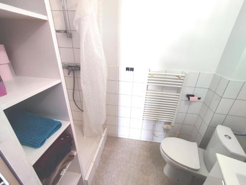 une petite salle de bain avec toilettes et douche dans l'établissement L'Albarine, son calme, sa beauté et ses truites, à Tenay